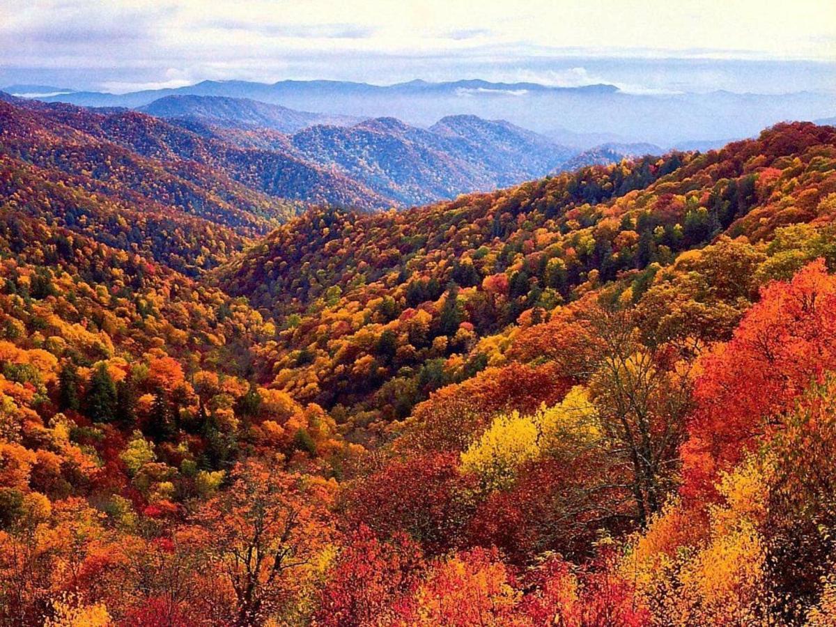 Sky High Views!!-Peak Mountaintop-Outdoor Pool-Close To Downtown-Private Balcony-Wifi-Cable Gatlinburg Exterior foto